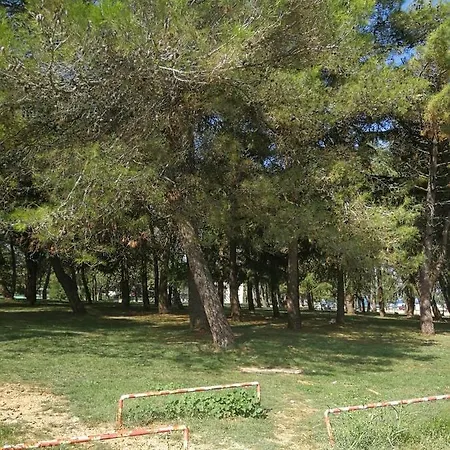 Sara Διαμέρισμα *